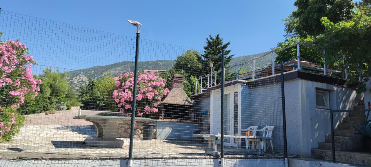 Resort Haus Toma Cesarica Εξωτερικό φωτογραφία