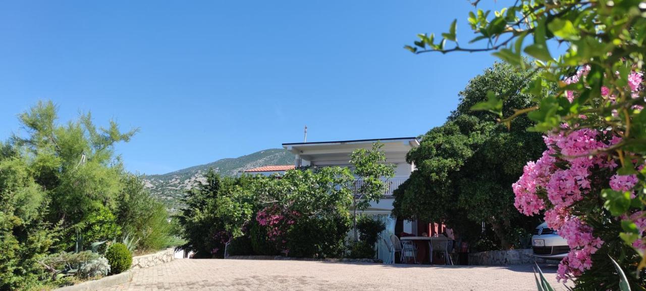 Resort Haus Toma Cesarica Εξωτερικό φωτογραφία