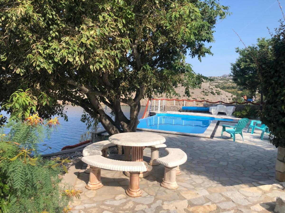 Resort Haus Toma Cesarica Εξωτερικό φωτογραφία