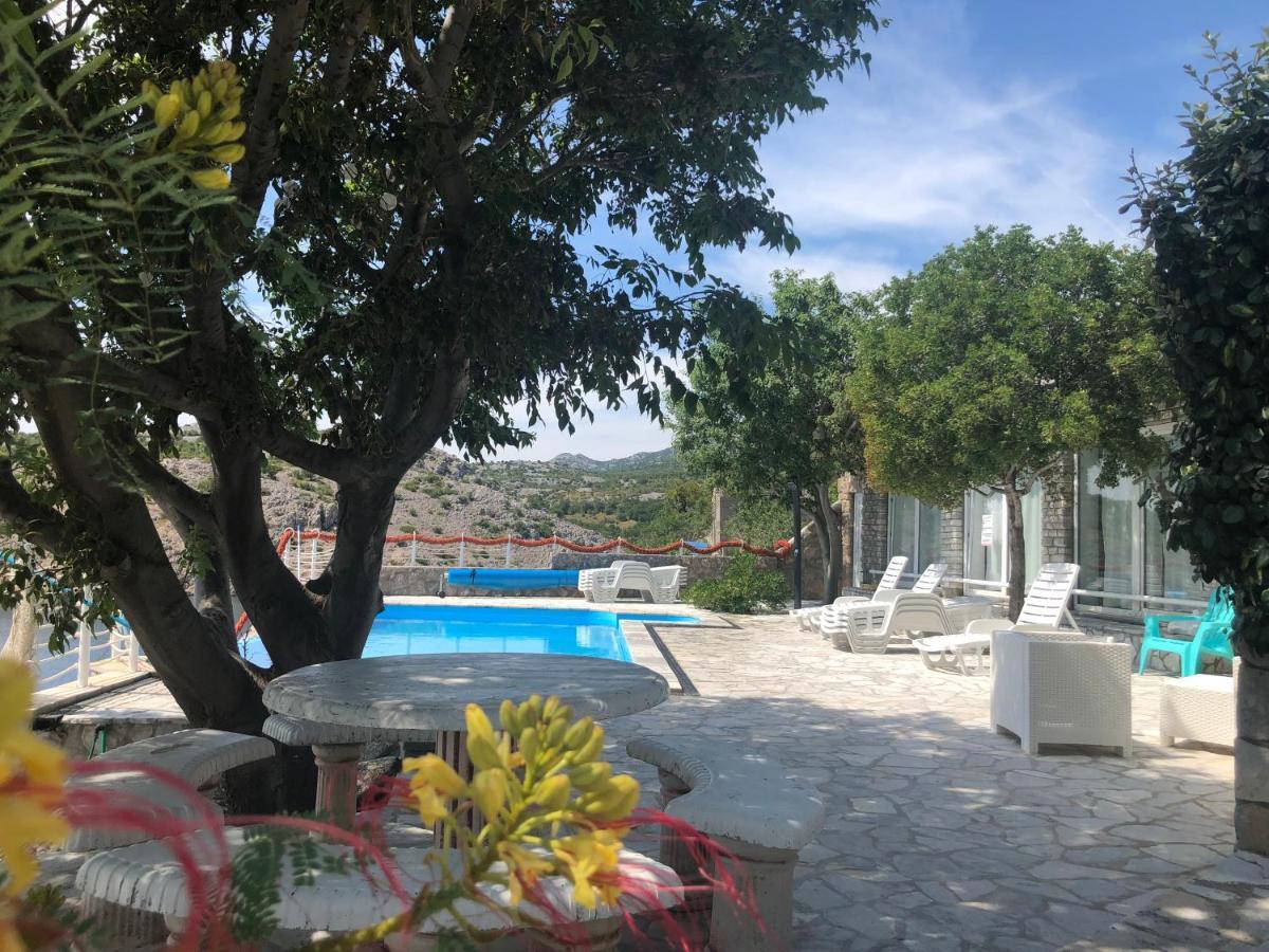 Resort Haus Toma Cesarica Εξωτερικό φωτογραφία