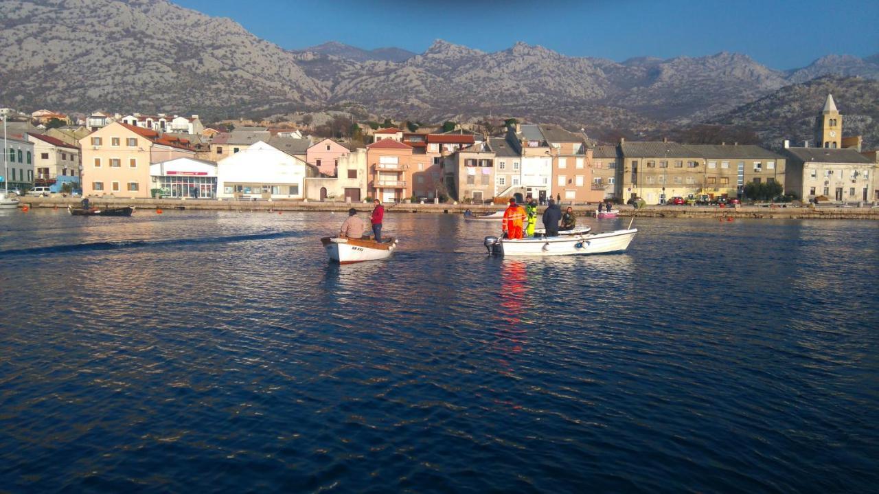 Resort Haus Toma Cesarica Εξωτερικό φωτογραφία