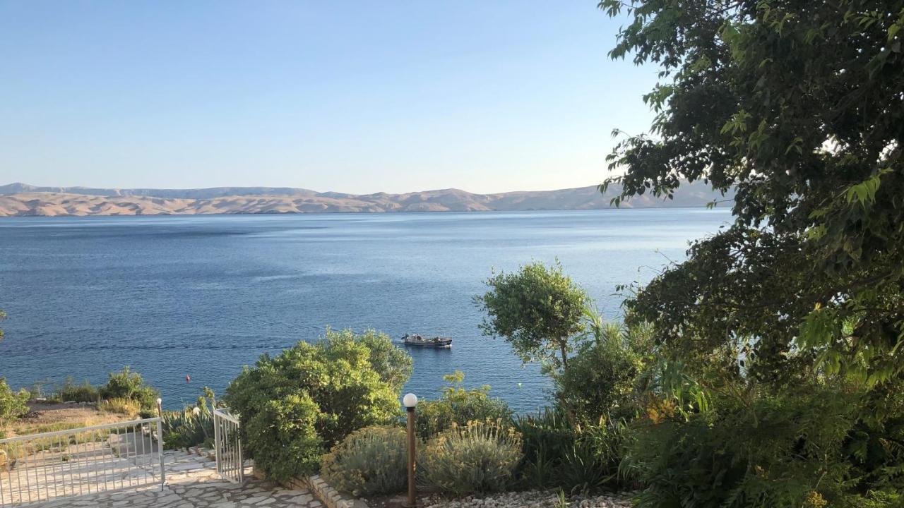 Resort Haus Toma Cesarica Εξωτερικό φωτογραφία