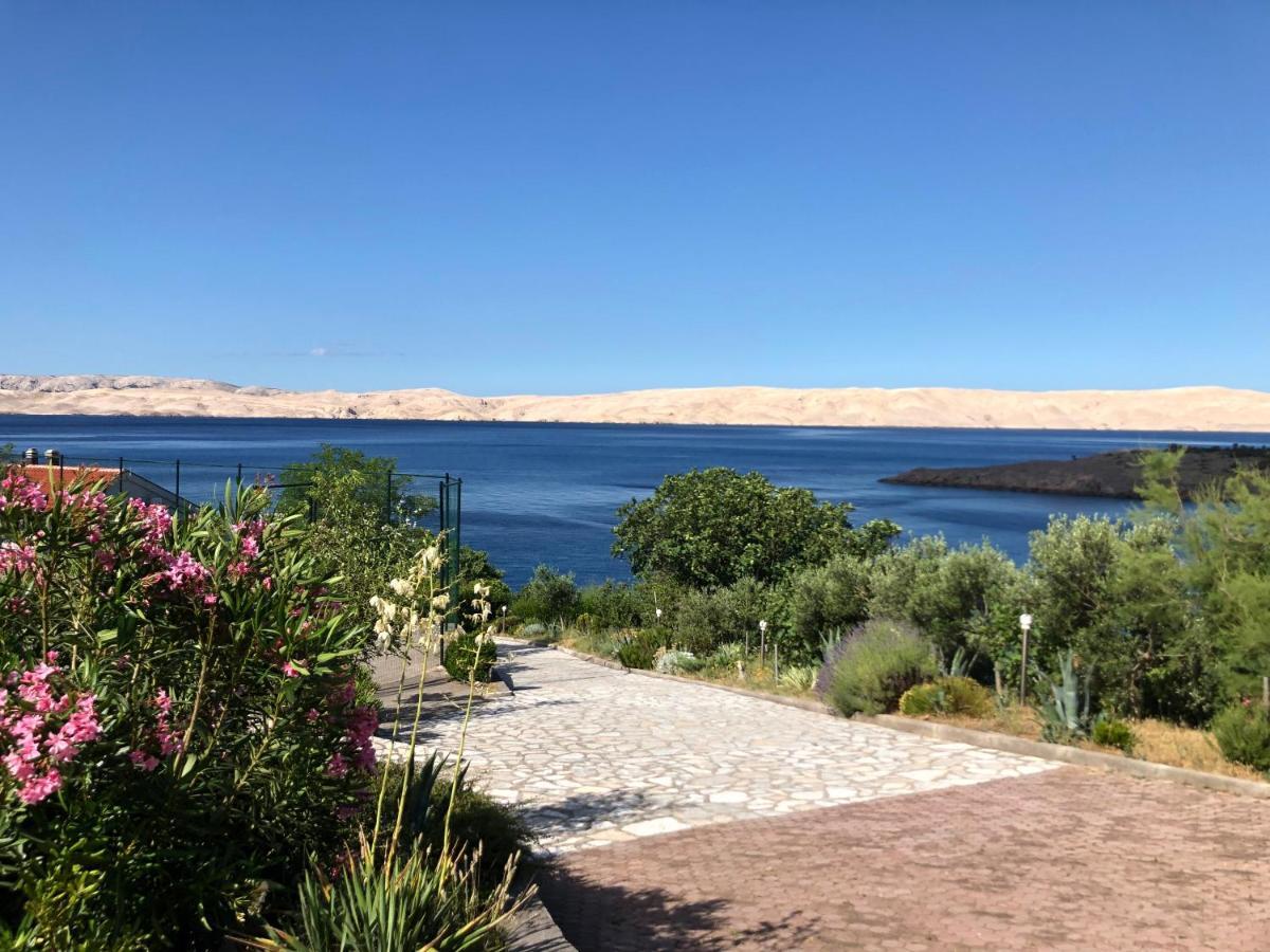 Resort Haus Toma Cesarica Εξωτερικό φωτογραφία