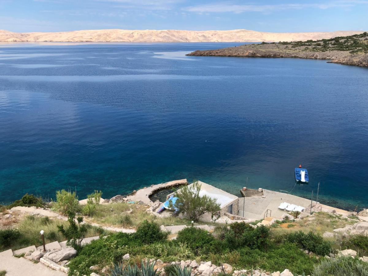 Resort Haus Toma Cesarica Εξωτερικό φωτογραφία